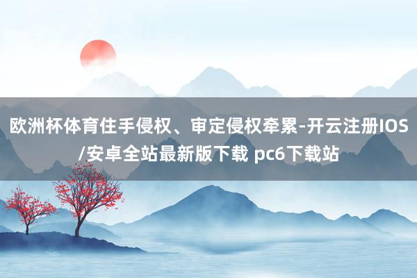 欧洲杯体育住手侵权、审定侵权牵累-开云注册IOS/安卓全站最新版下载 pc6下载站