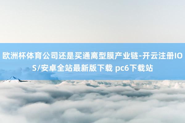 欧洲杯体育公司还是买通离型膜产业链-开云注册IOS/安卓全站最新版下载 pc6下载站