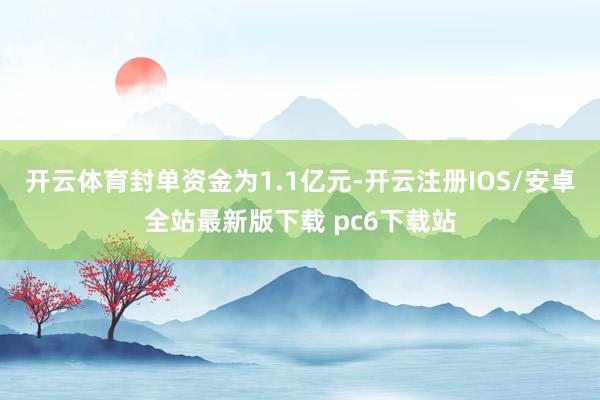 开云体育封单资金为1.1亿元-开云注册IOS/安卓全站最新版下载 pc6下载站