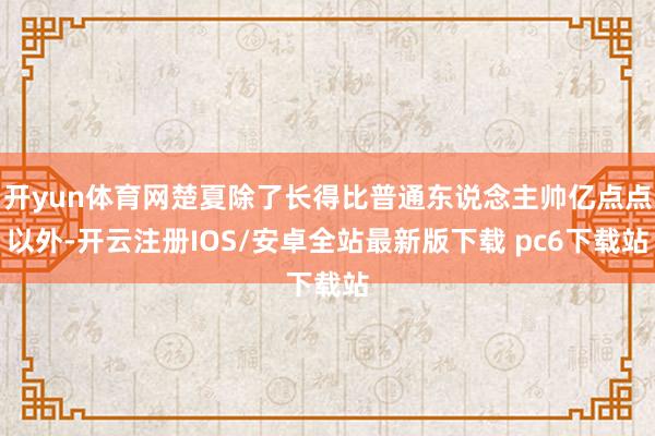 开yun体育网楚夏除了长得比普通东说念主帅亿点点以外-开云注册IOS/安卓全站最新版下载 pc6下载站