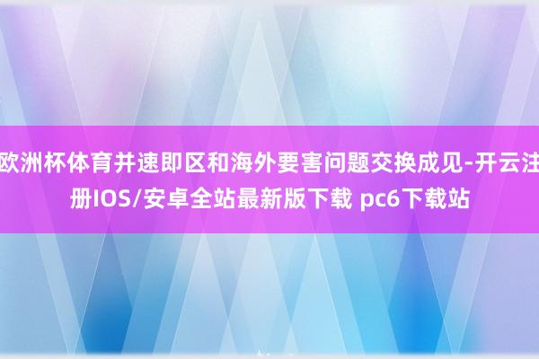 欧洲杯体育并速即区和海外要害问题交换成见-开云注册IOS/安卓全站最新版下载 pc6下载站