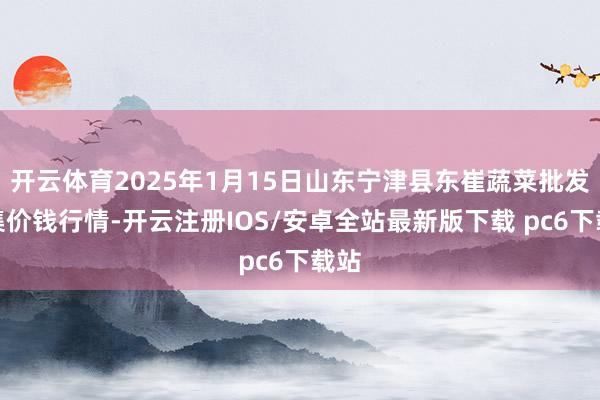 开云体育2025年1月15日山东宁津县东崔蔬菜批发市集价钱行情-开云注册IOS/安卓全站最新版下载 pc6下载站