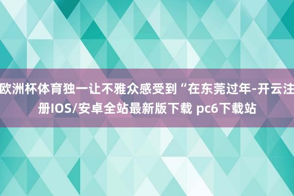 欧洲杯体育独一让不雅众感受到“在东莞过年-开云注册IOS/安卓全站最新版下载 pc6下载站