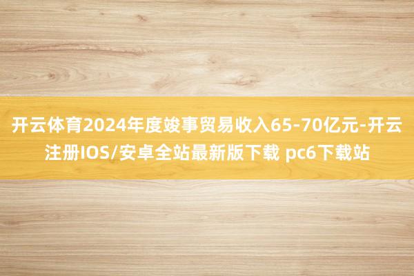 开云体育2024年度竣事贸易收入65-70亿元-开云注册IOS/安卓全站最新版下载 pc6下载站