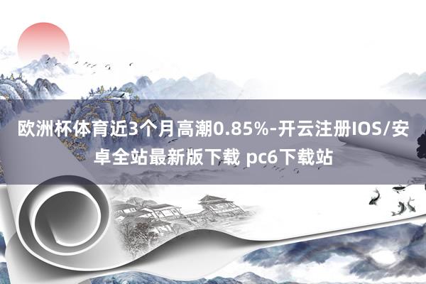 欧洲杯体育近3个月高潮0.85%-开云注册IOS/安卓全站最新版下载 pc6下载站