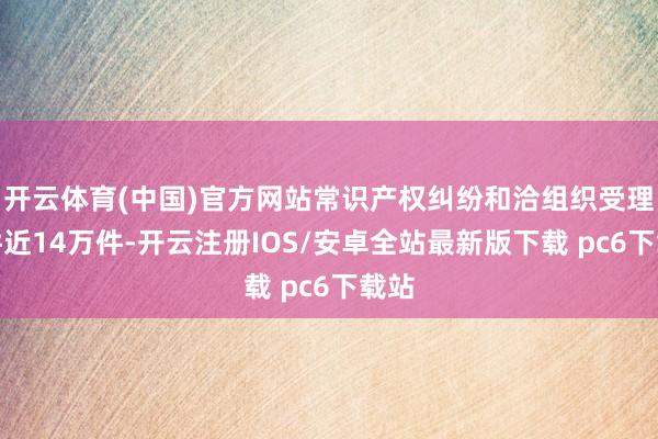 开云体育(中国)官方网站常识产权纠纷和洽组织受理案件近14万件-开云注册IOS/安卓全站最新版下载 pc6下载站